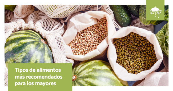 Qué tipos de alimentos deben consumir los mayores