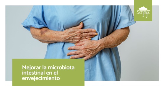 Cómo mejorar la microbiota intestinal en el envejecimiento