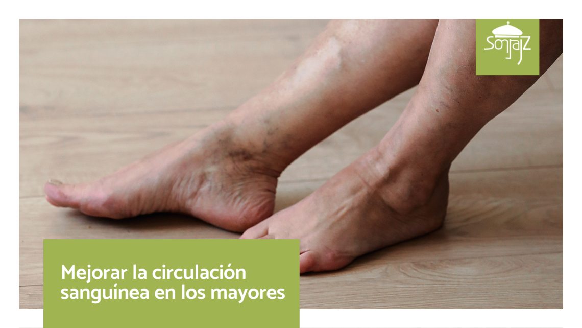 Cómo mejorar la circulación sanguínea en los mayores